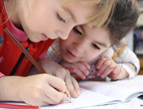Quel est le programme scolaire à l’école élémentaire (cycle 2) ?