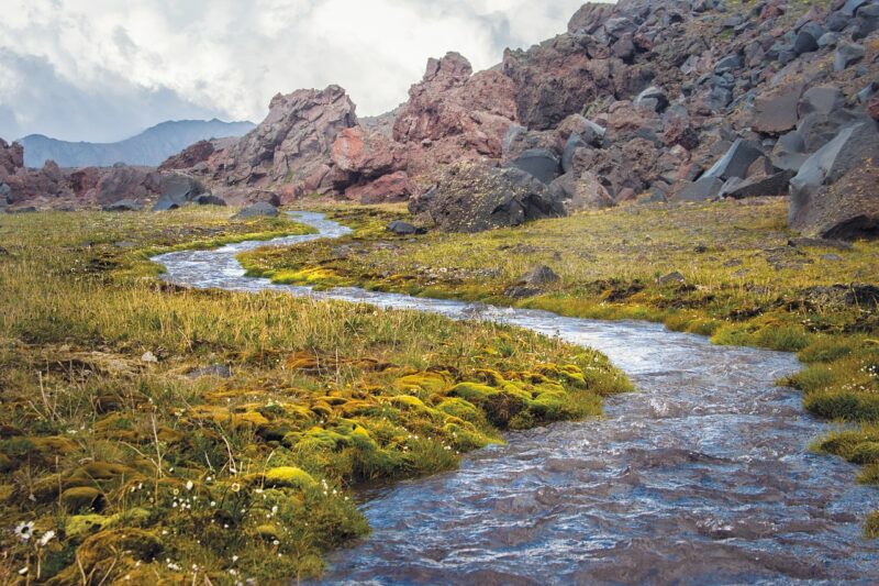 La métaphore de la rivière, la base du modèle japonais Kawa, utilisé en ergothérapie